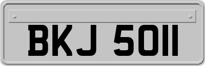 BKJ5011