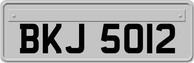 BKJ5012
