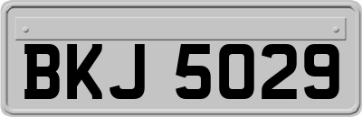 BKJ5029