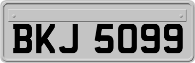 BKJ5099
