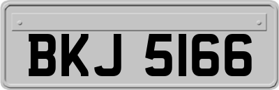 BKJ5166