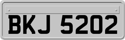 BKJ5202
