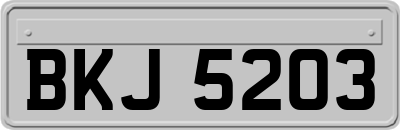 BKJ5203
