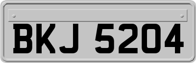 BKJ5204