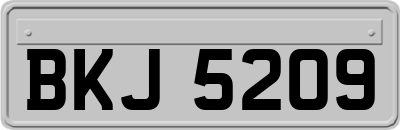 BKJ5209