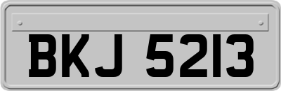 BKJ5213