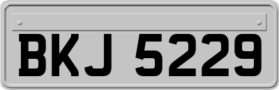 BKJ5229