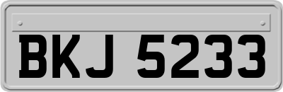 BKJ5233