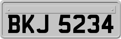 BKJ5234