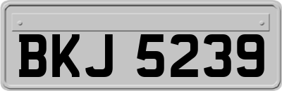 BKJ5239