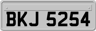 BKJ5254