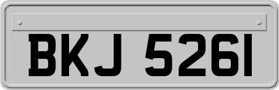 BKJ5261