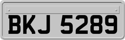 BKJ5289