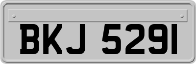 BKJ5291