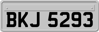 BKJ5293