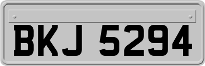 BKJ5294