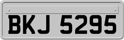 BKJ5295