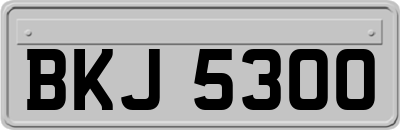 BKJ5300