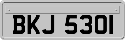 BKJ5301