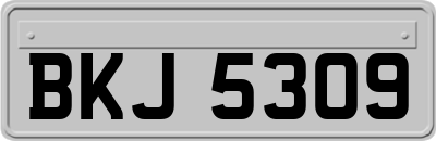 BKJ5309