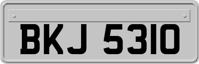 BKJ5310