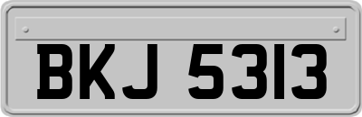 BKJ5313