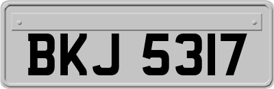 BKJ5317