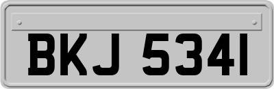 BKJ5341