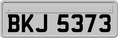 BKJ5373