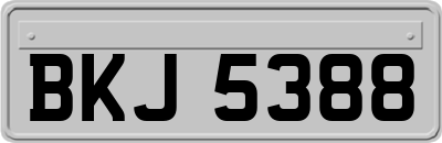 BKJ5388