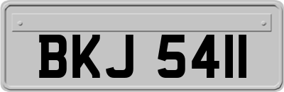 BKJ5411