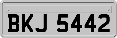 BKJ5442
