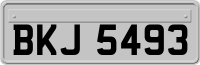 BKJ5493