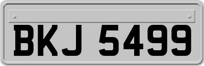 BKJ5499