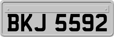 BKJ5592