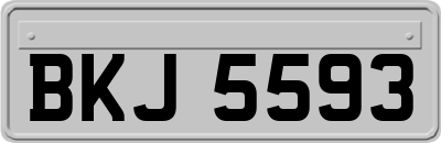 BKJ5593