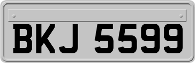 BKJ5599