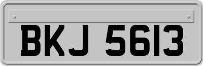 BKJ5613