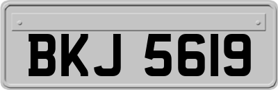 BKJ5619