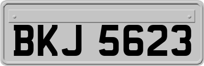 BKJ5623