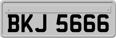 BKJ5666