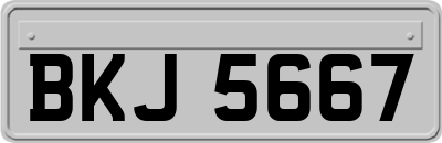 BKJ5667