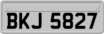 BKJ5827