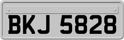 BKJ5828
