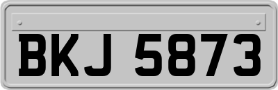 BKJ5873