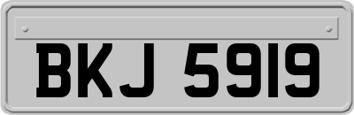 BKJ5919