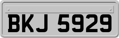 BKJ5929