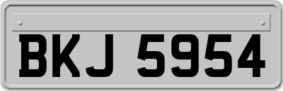 BKJ5954