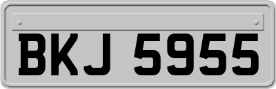 BKJ5955