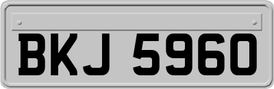 BKJ5960